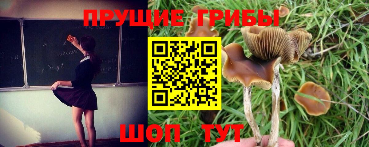 Нижневартовск  Галлюциногенные грибы мухоморы  Вход с VPN 